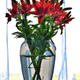 Illustration for article titled 37 Handsome HDR Photographs